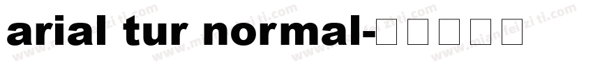 arial tur normal字体转换